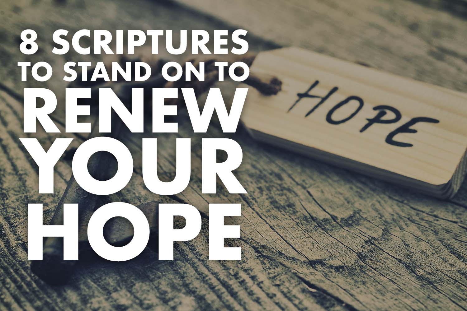 8 Scriptures To Stand on  To Renew Your Hope