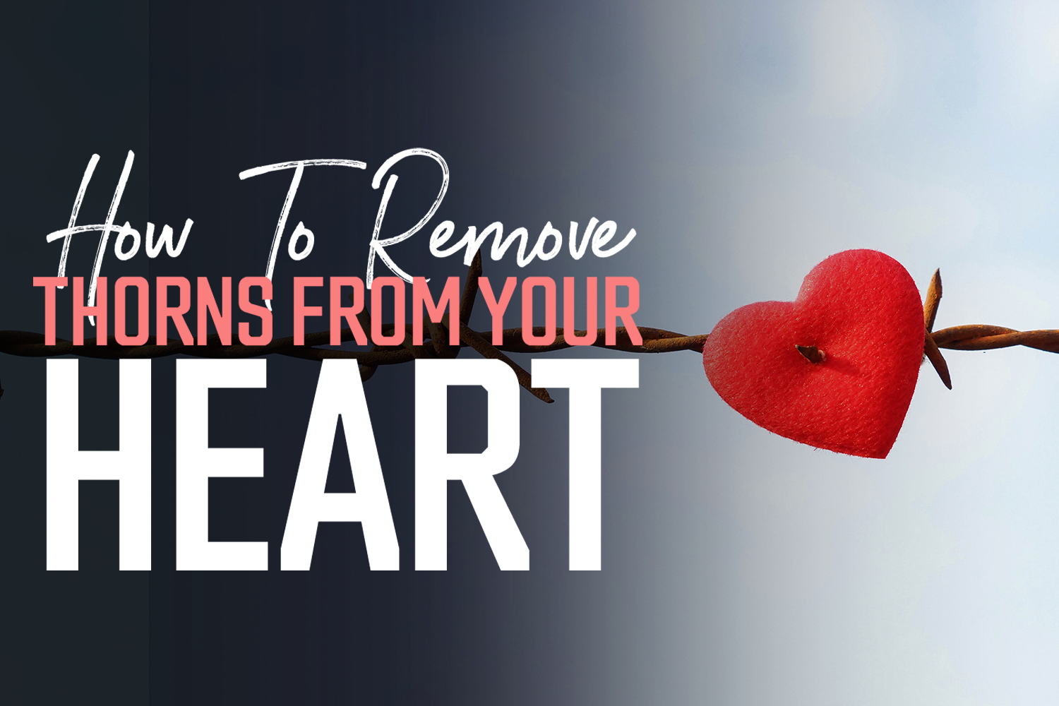 How to Remove Thorns From Your Heart real help article