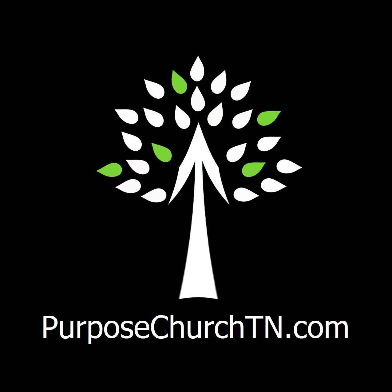 Purpose Church 