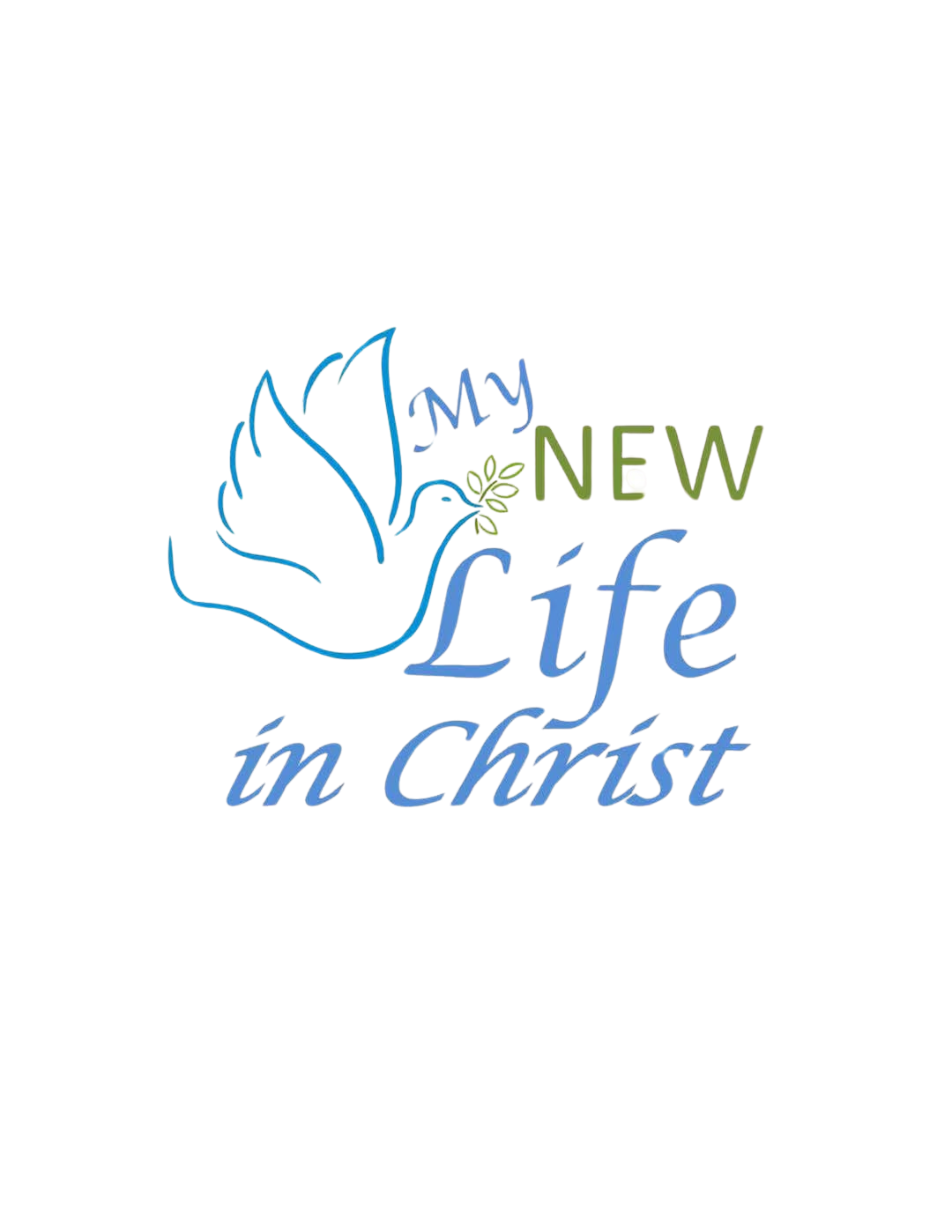 My New Life in Christ My New Life in Christ