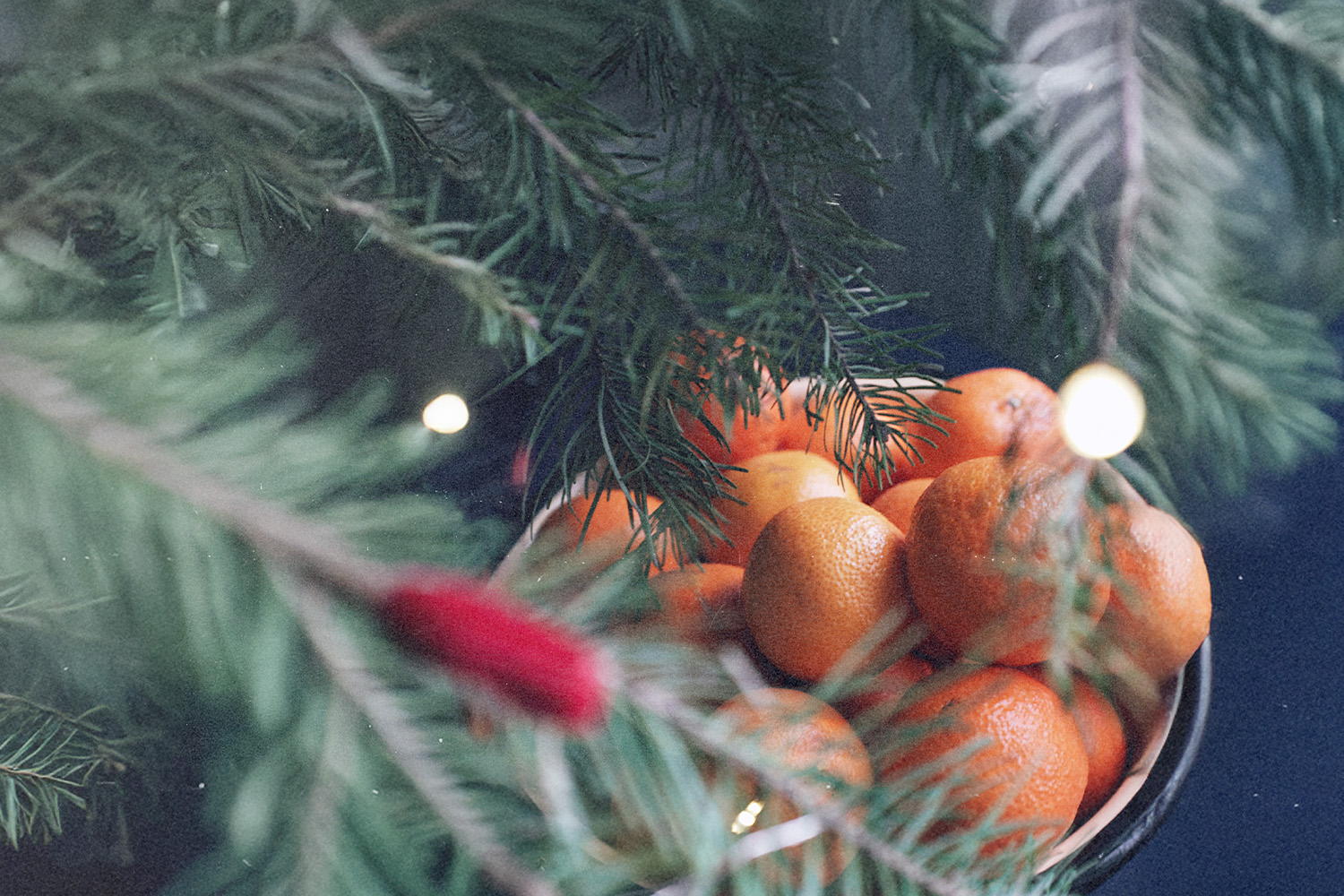 Let the Fruit of the Spirit Shine Through You This Christmas Season