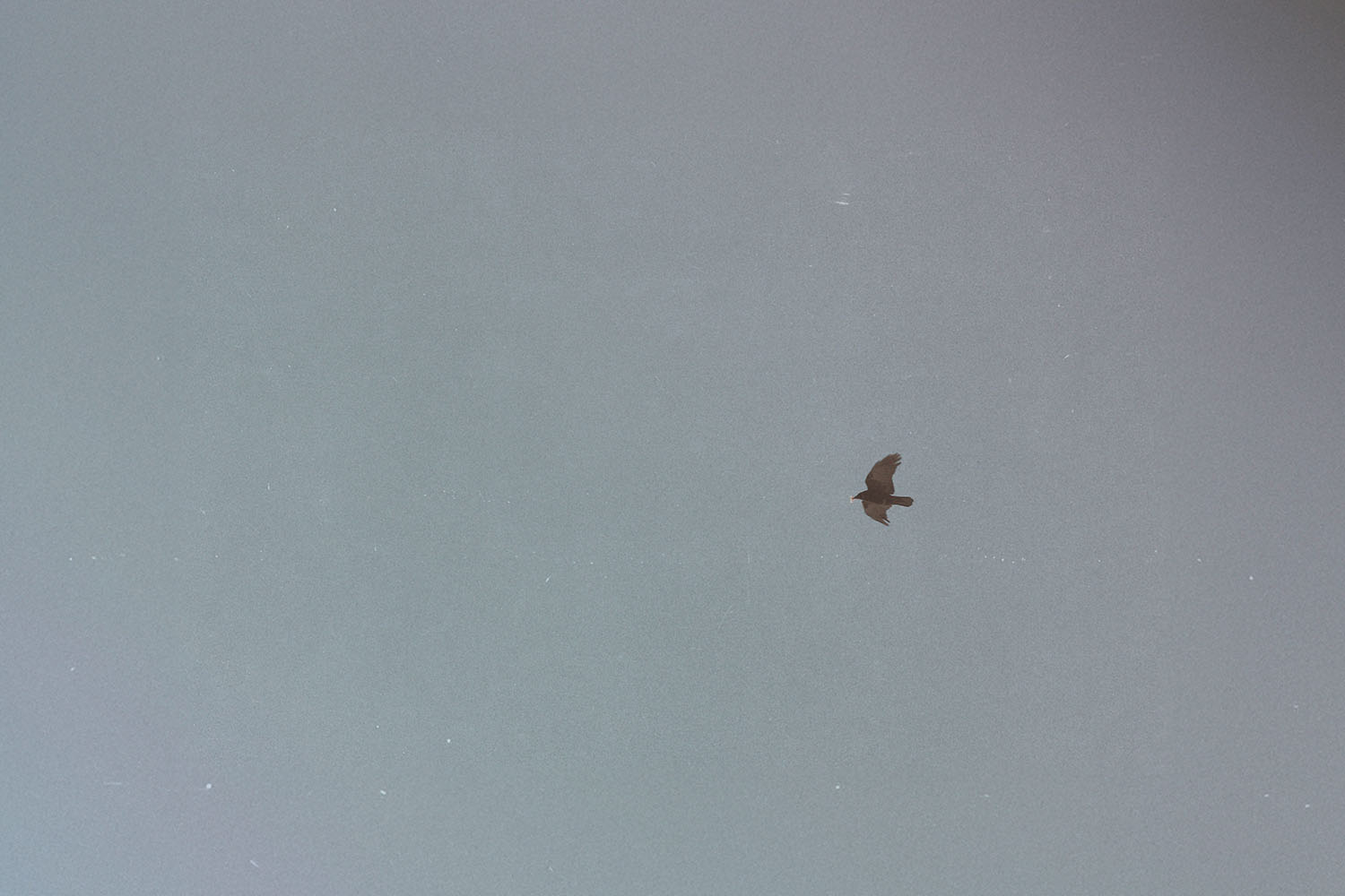 10 Declarations for Financial Freedom