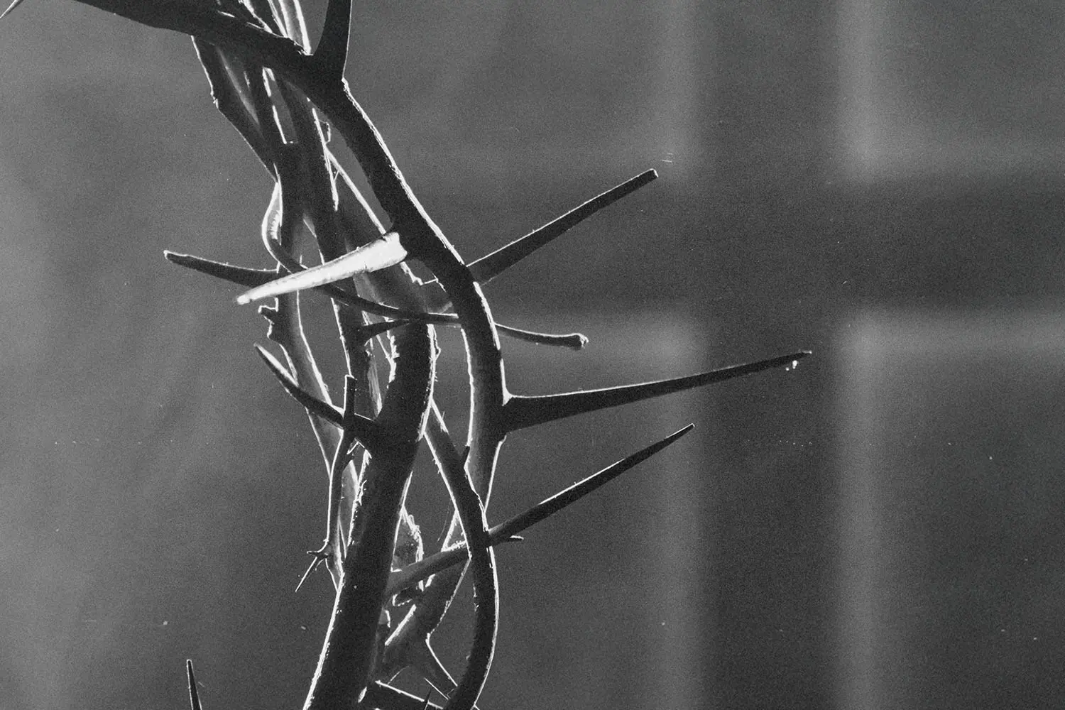 Close-up of a crown of thorns in dramatic lighting against a soft, blurred cross in the background.