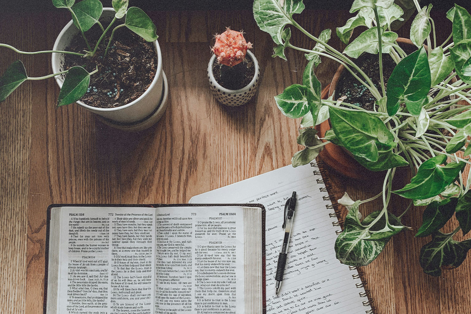 Open Bible on a wooden table beside a notebook and pen, surrounded by potted plants