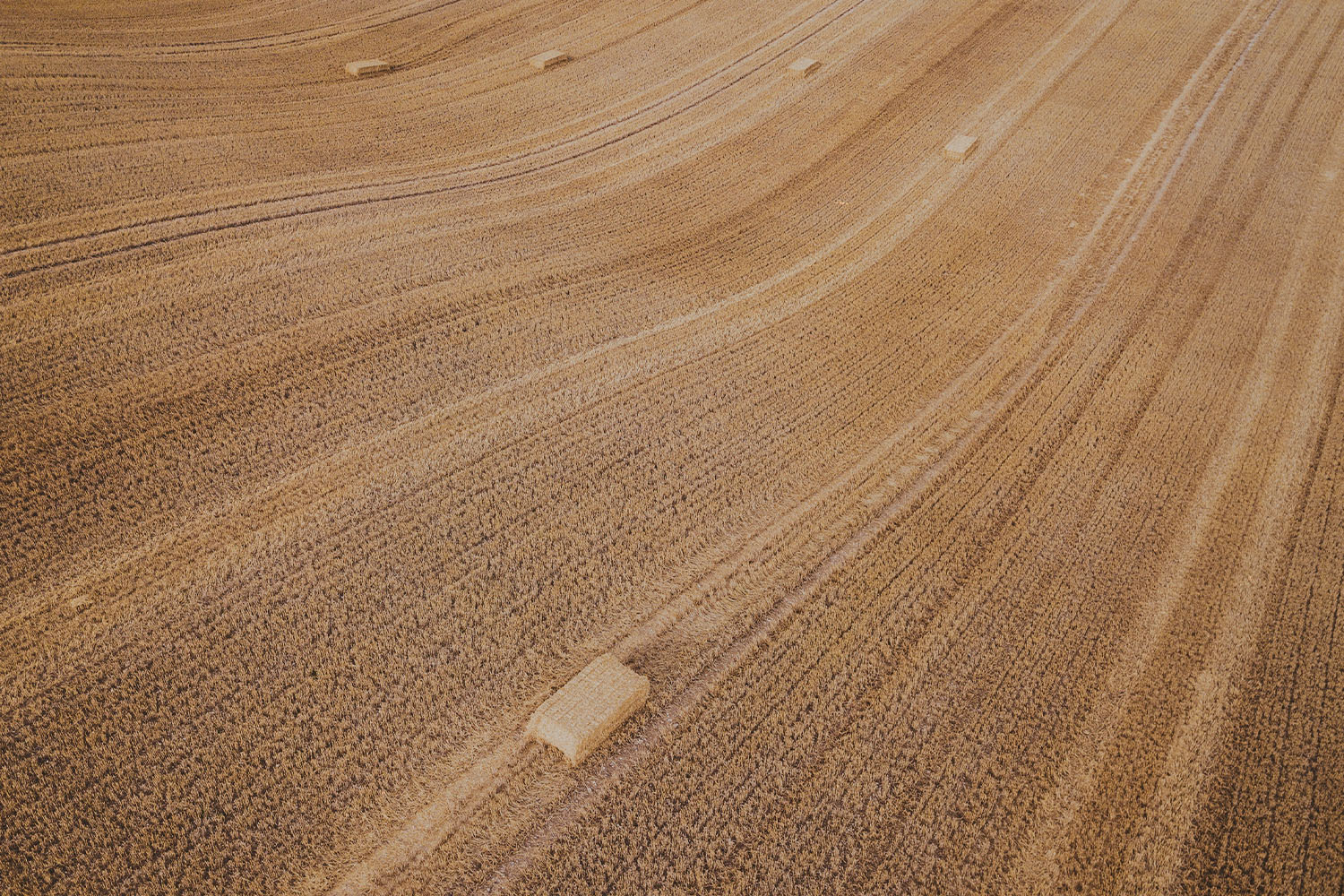 7 Confessions To Bring In Your Harvest