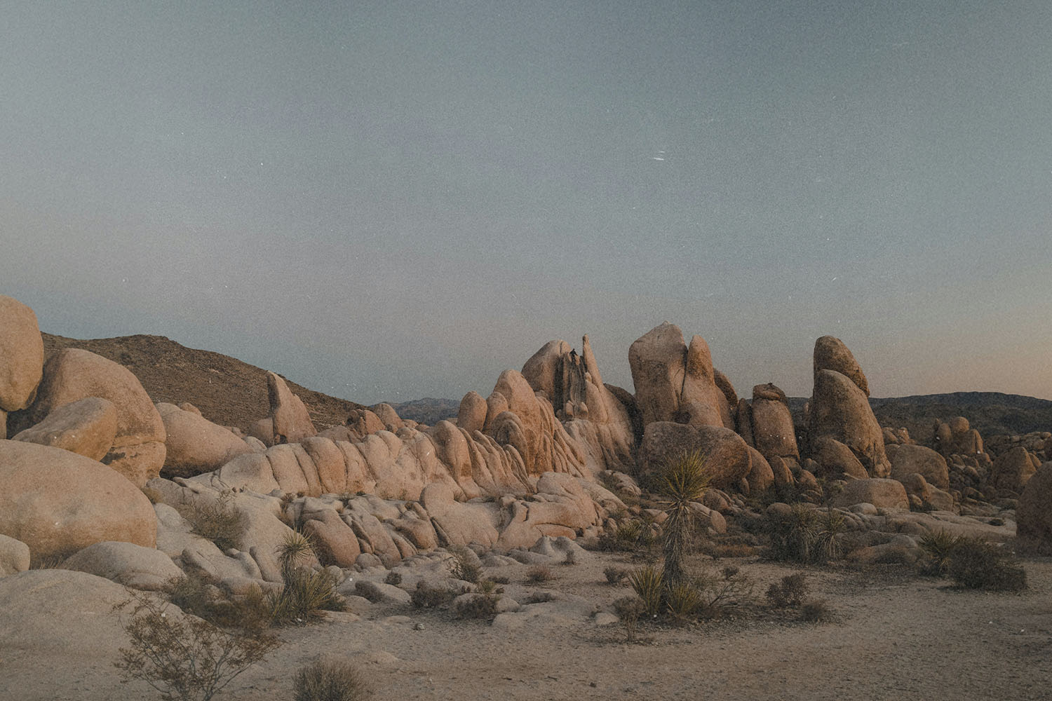 7 Strategic Ways To Exercise Authority—and Stand Your Ground!