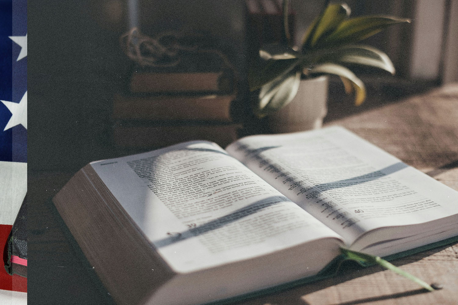 An open Bible lies on a wooden table beside potted plants, with sunlight casting soft shadows across the pages