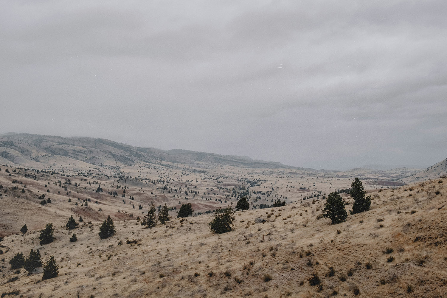 8 Reasons Why the Passover Seder Matters to Christians