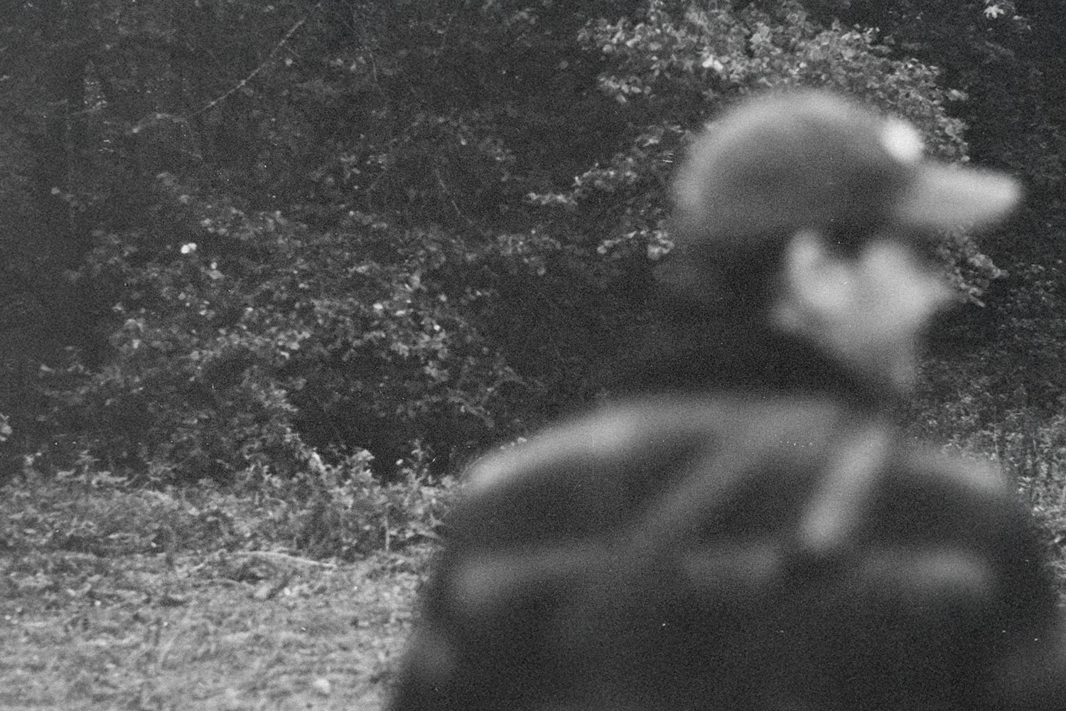 Man wearing a hat, standing in a wooded clearing with dense trees in the background