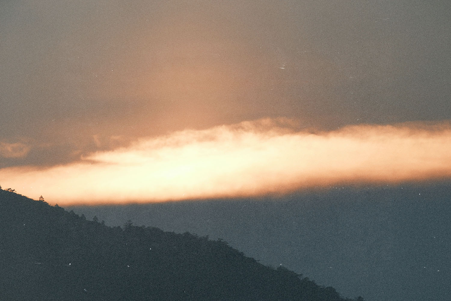 God Delights in Your Prosperity!