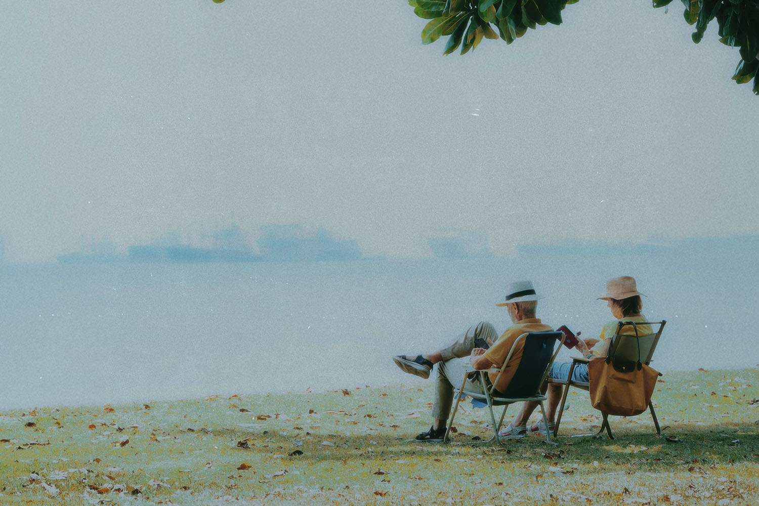 Two people sit in folding chairs near the shoreline, relaxing under a tree with calm water and distant ships on the horizon