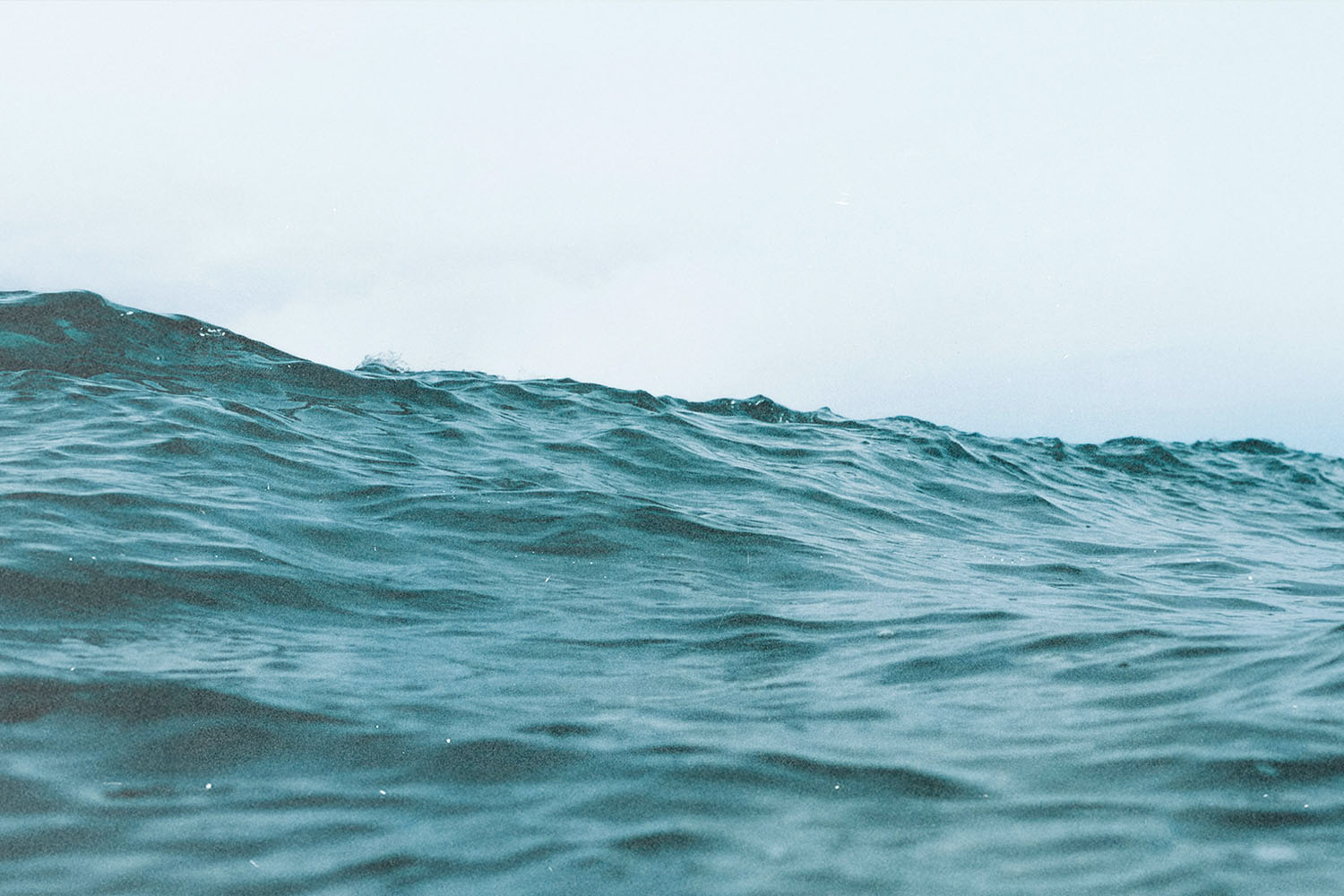 A Prayer for Revival