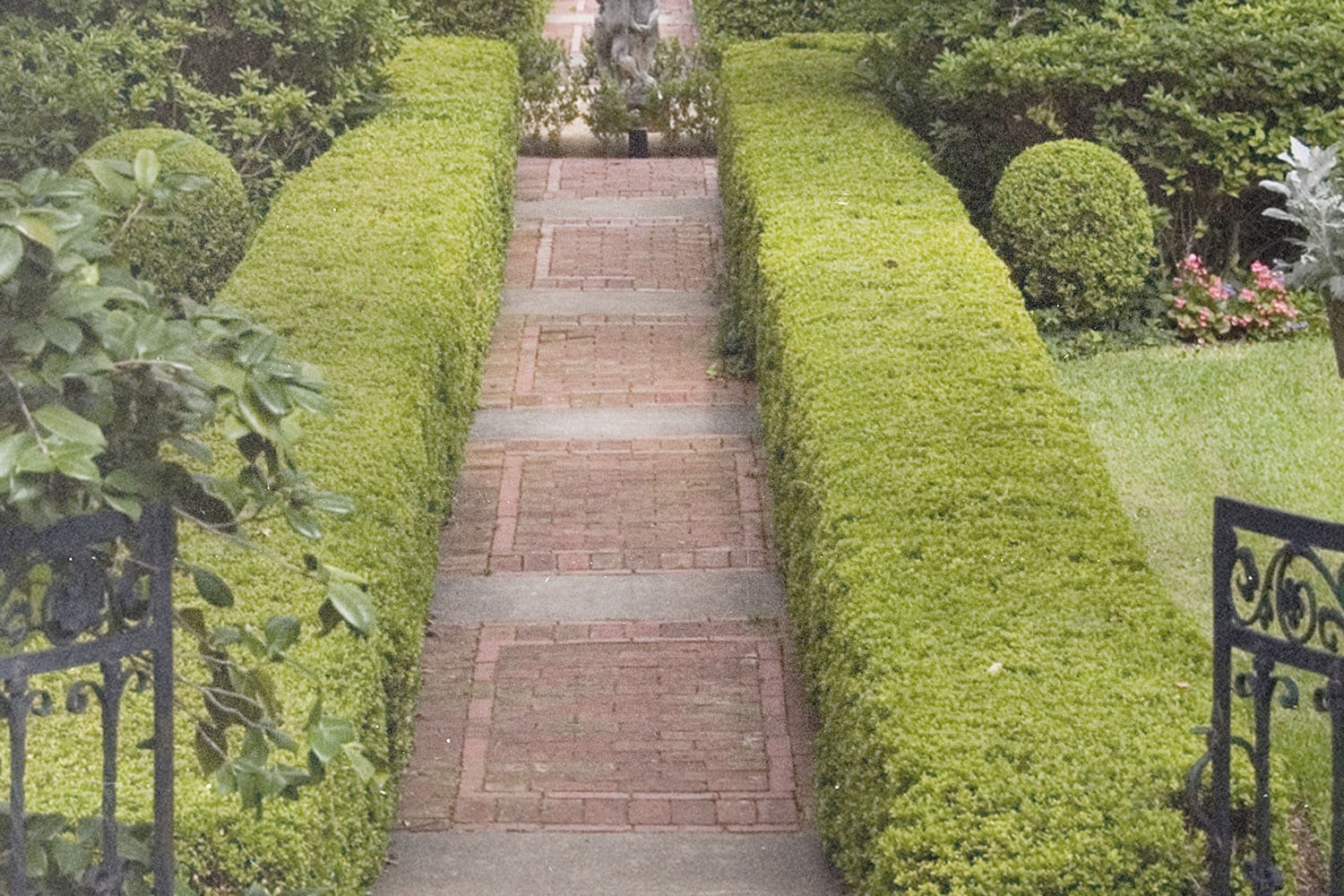 A neatly trimmed garden path with brick pavers is bordered by tall, manicured hedges and framed by an iron gate