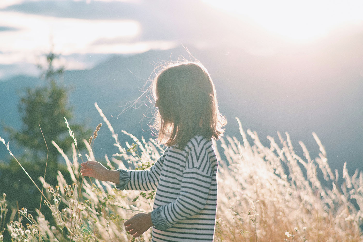 A child stands in a sunlit field of tall grass, gently touching the plants as the mountains glow softly in the background