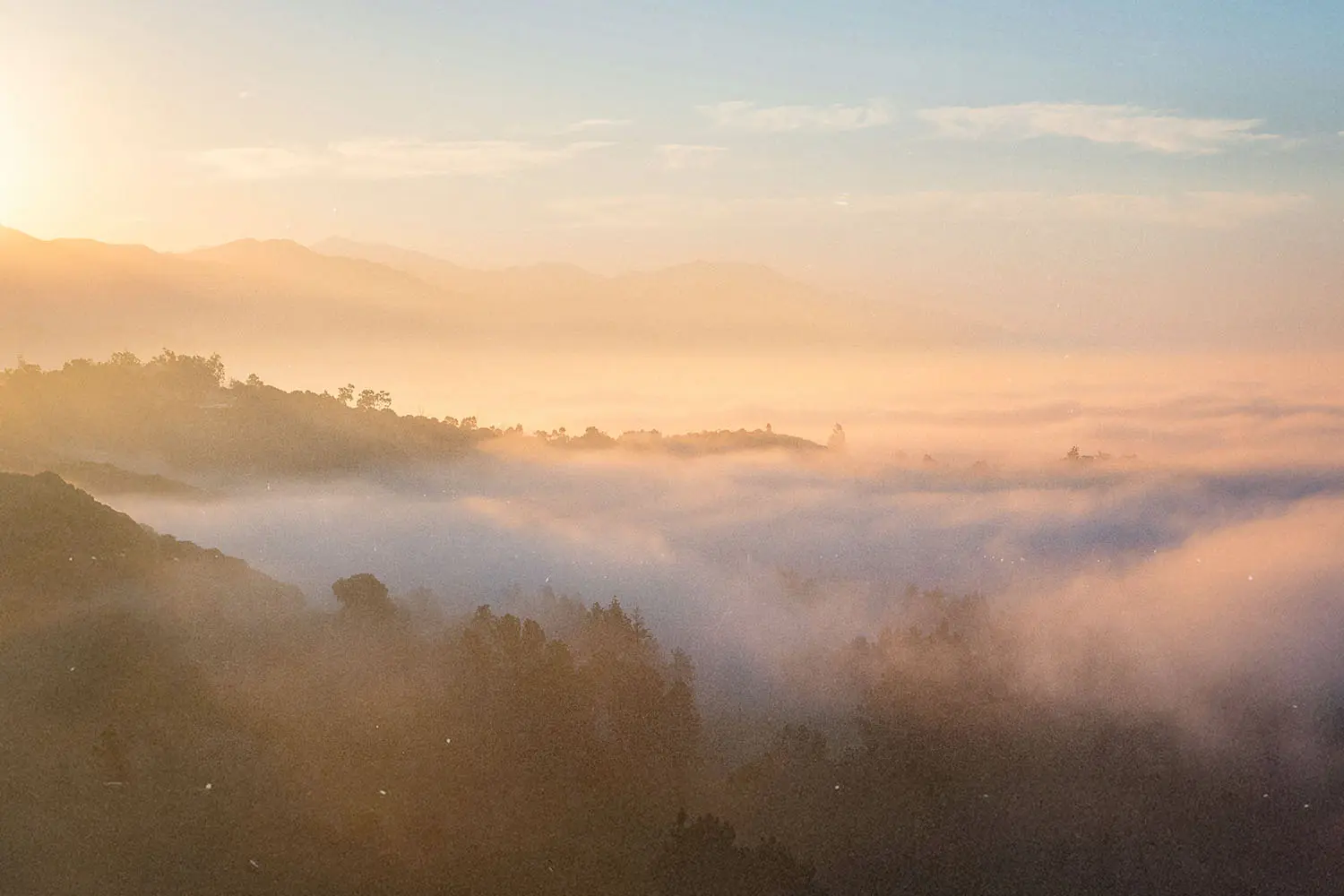 A golden sunrise casts warm light over rolling hills and treetops as a blanket of soft mist drifts through the valleys below