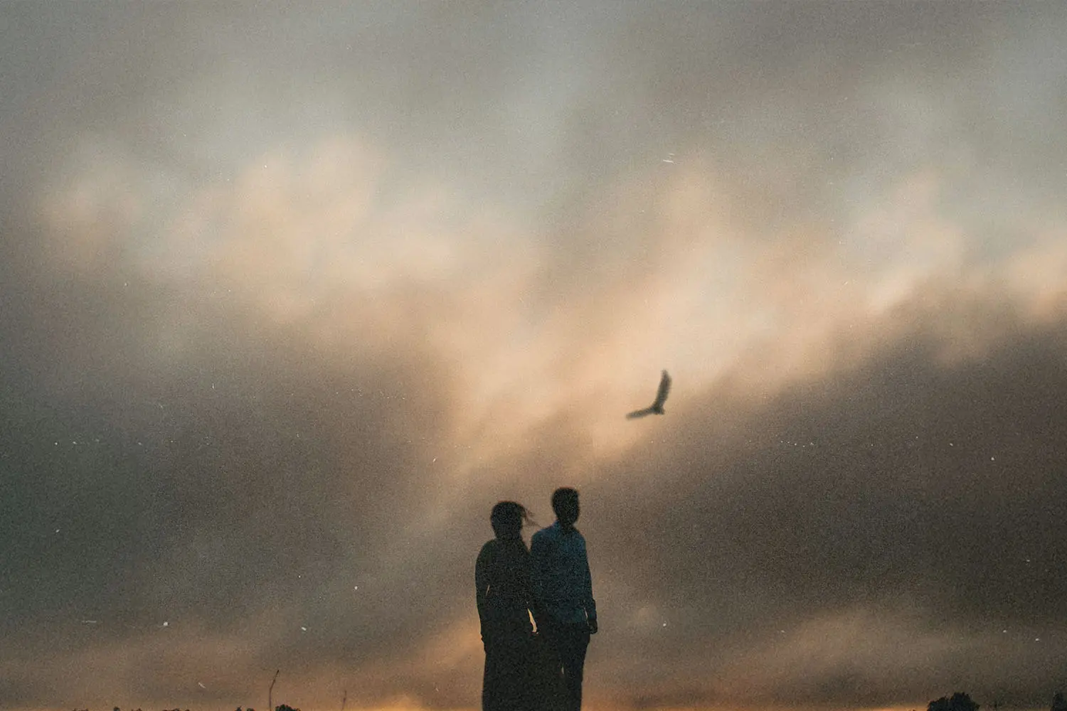 Two people stand together outdoors, silhouetted against a dramatic sky with soft, glowing clouds, while a bird flies overhead