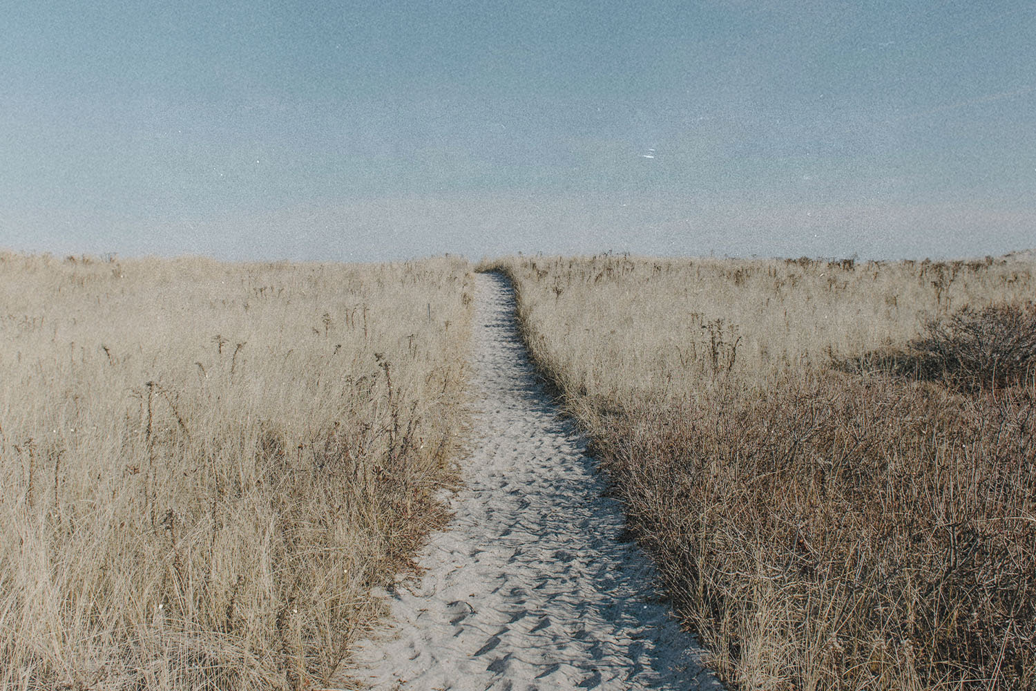 A narrow sandy path stretches through tall, dry grass beneath a wide blue sky