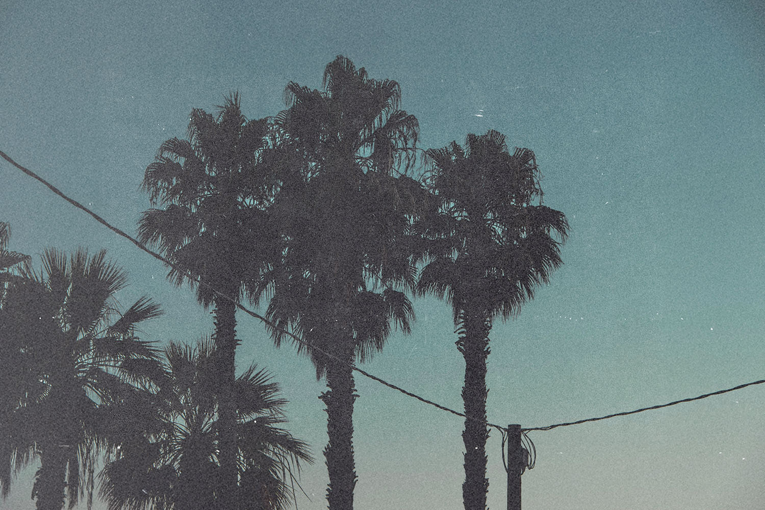 Daily Question Image