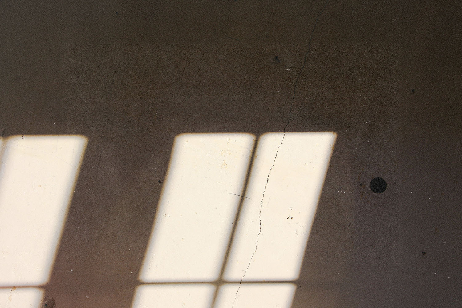 Daily Question Image