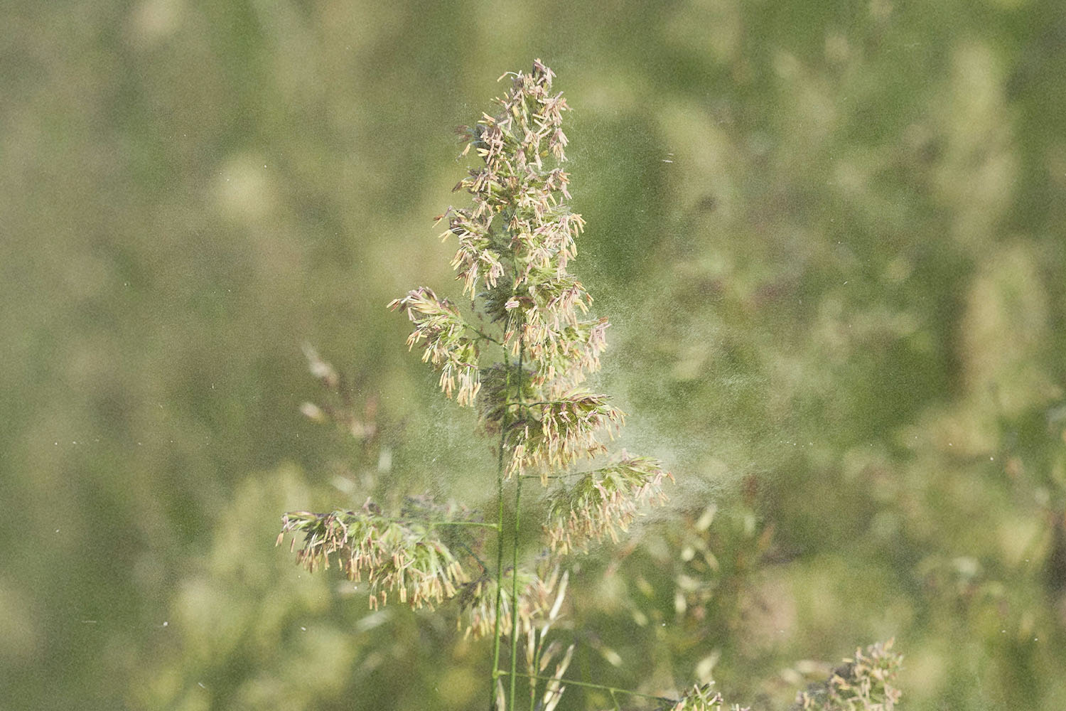 Daily Question Image