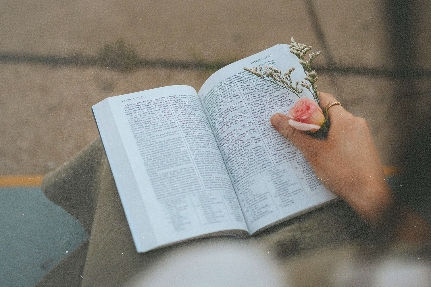 Open Bible held on a lap with a small flower tucked between the pages