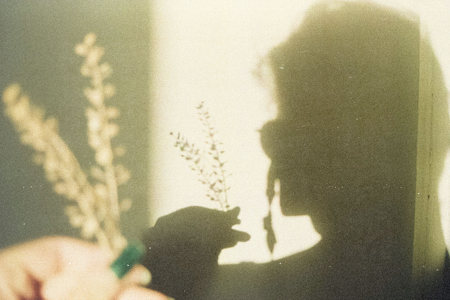 Daily Question Image