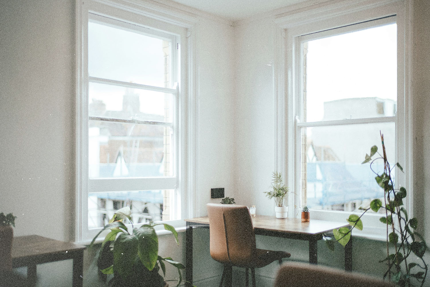 Daily Question Image