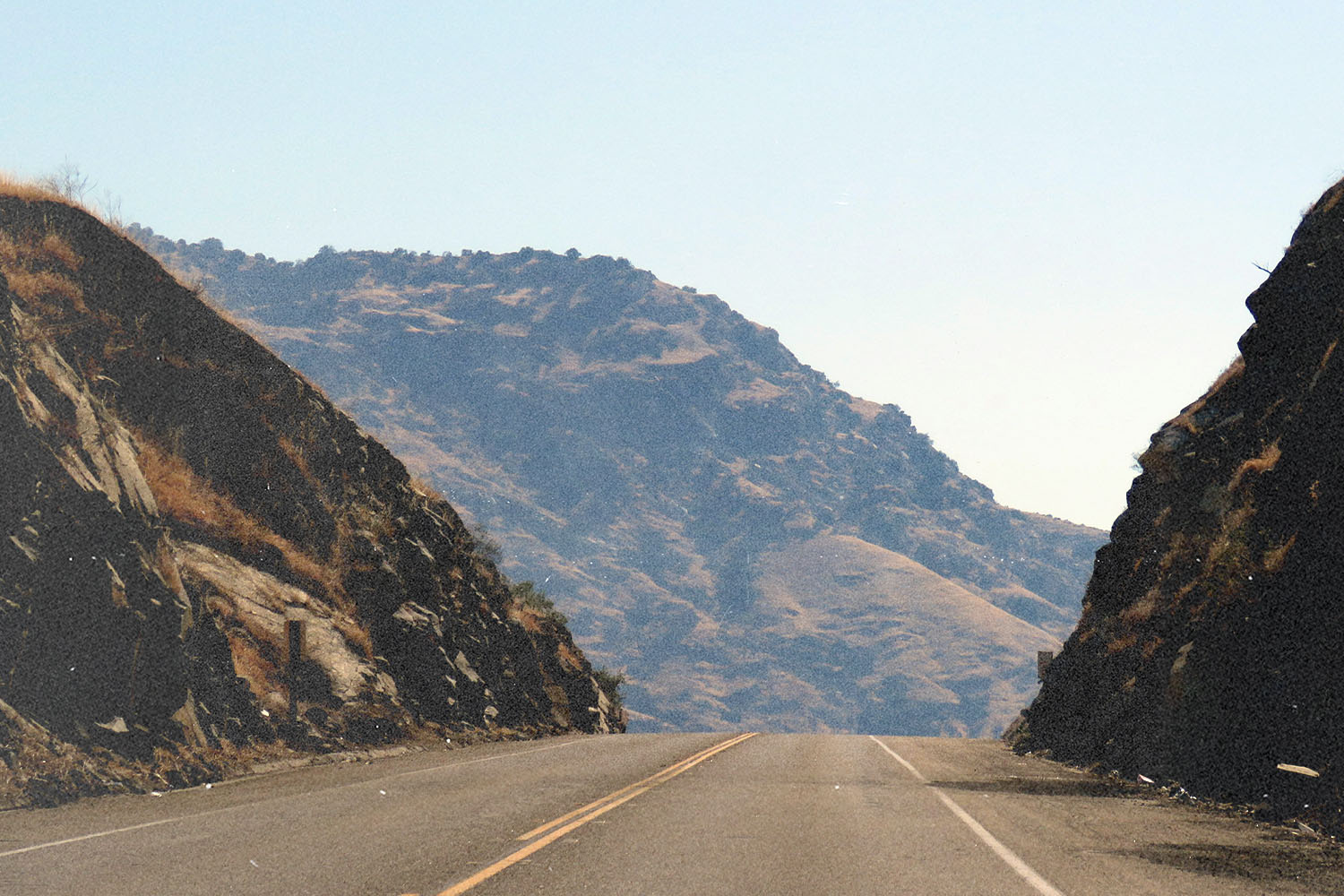 Daily Question Image