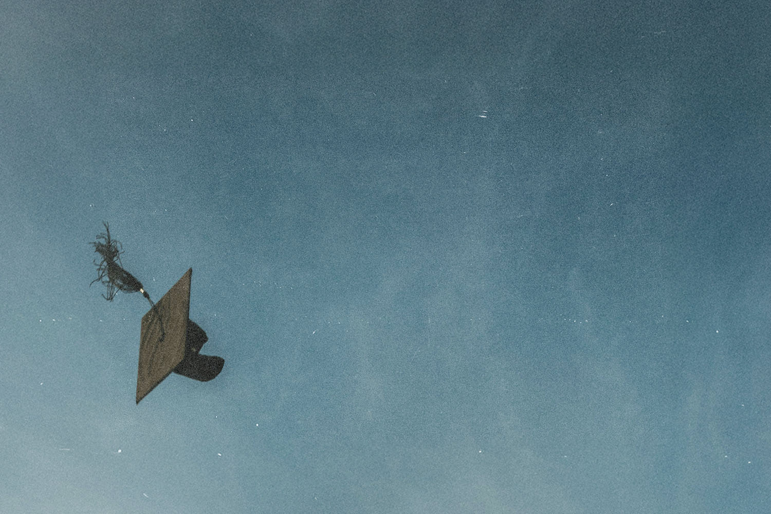 Daily Question Image