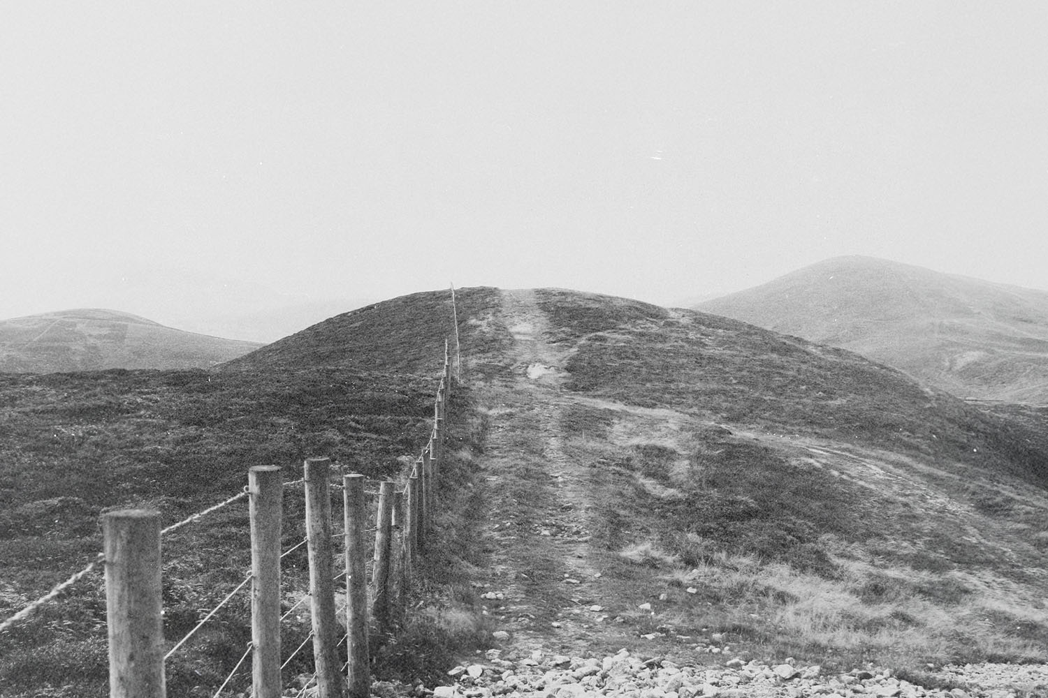 Daily Question Image