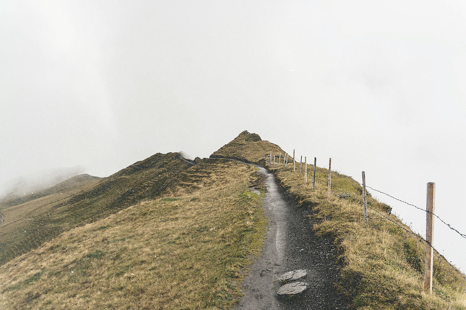 Daily Question Image