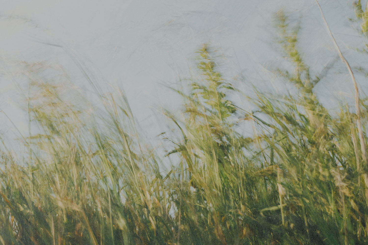 Daily Question Image