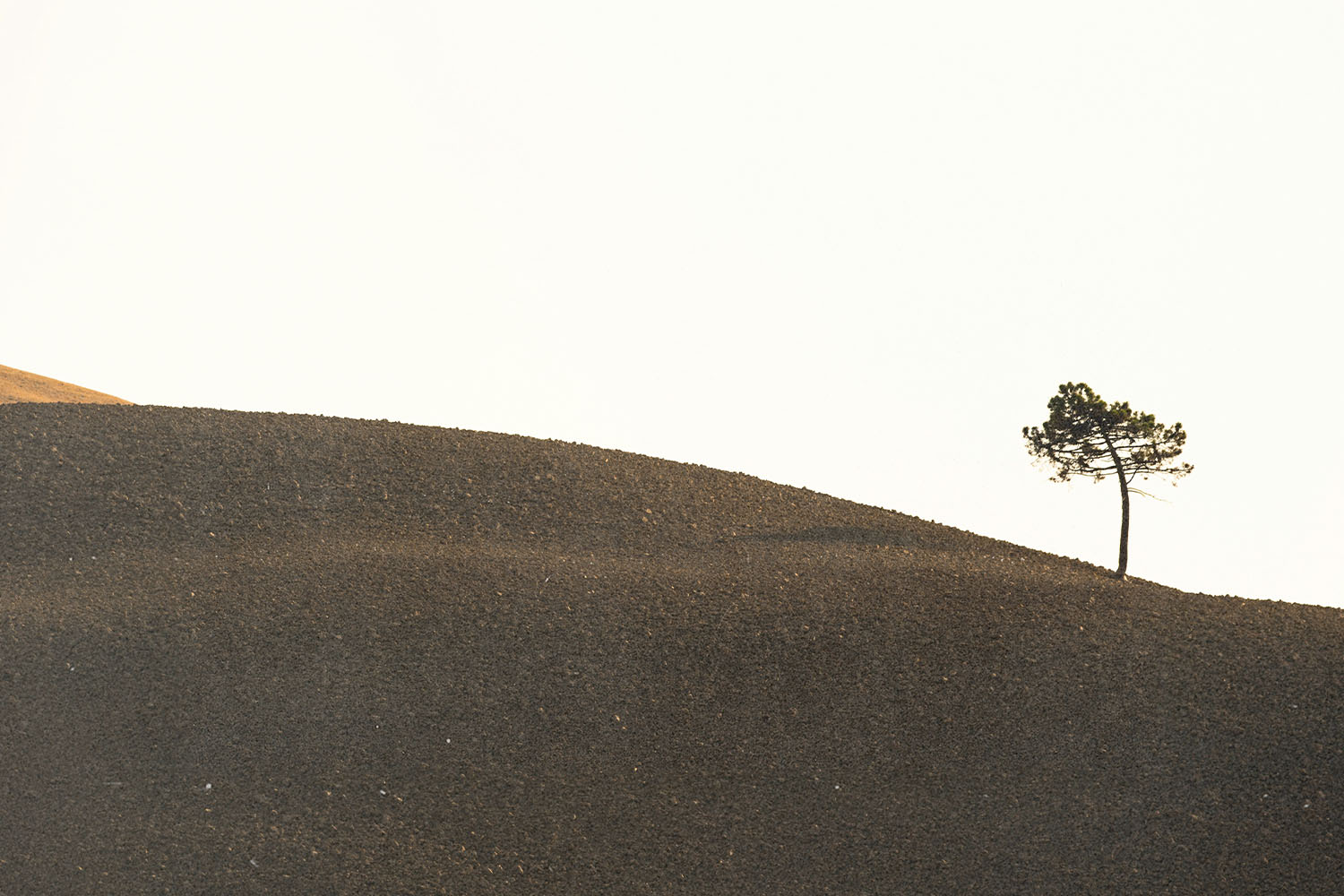 I don’t feel very important. What is my significance to God and His kingdom?