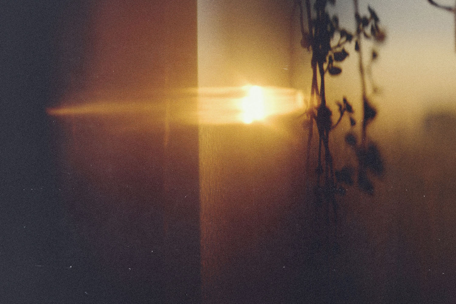 Should I expect to die for Jesus?