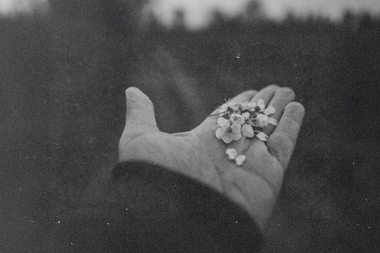 Can the hundredfold return apply to the tithe?