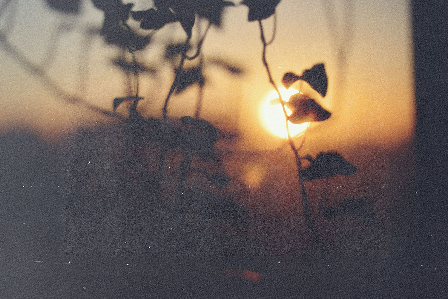 How can I know the truth when ministers disagree?