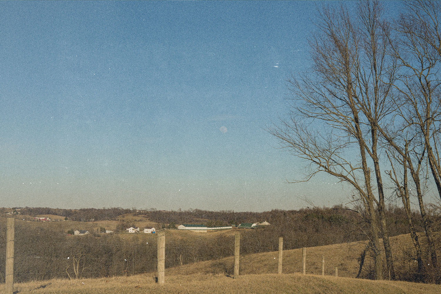 How can I find peace?