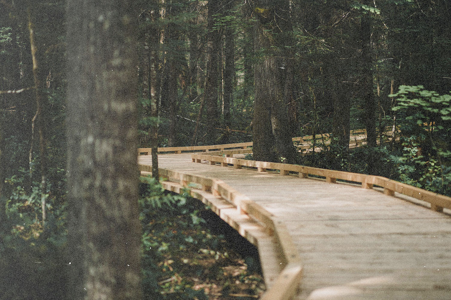 How do I get more faith?