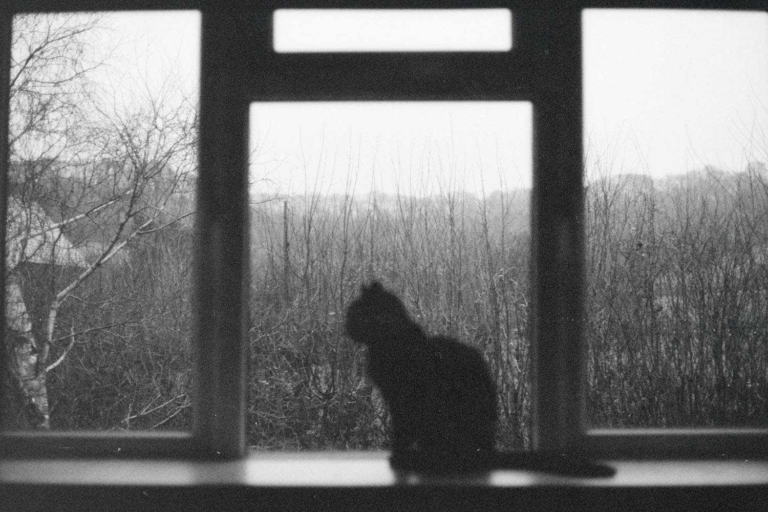 Do curses still exist?