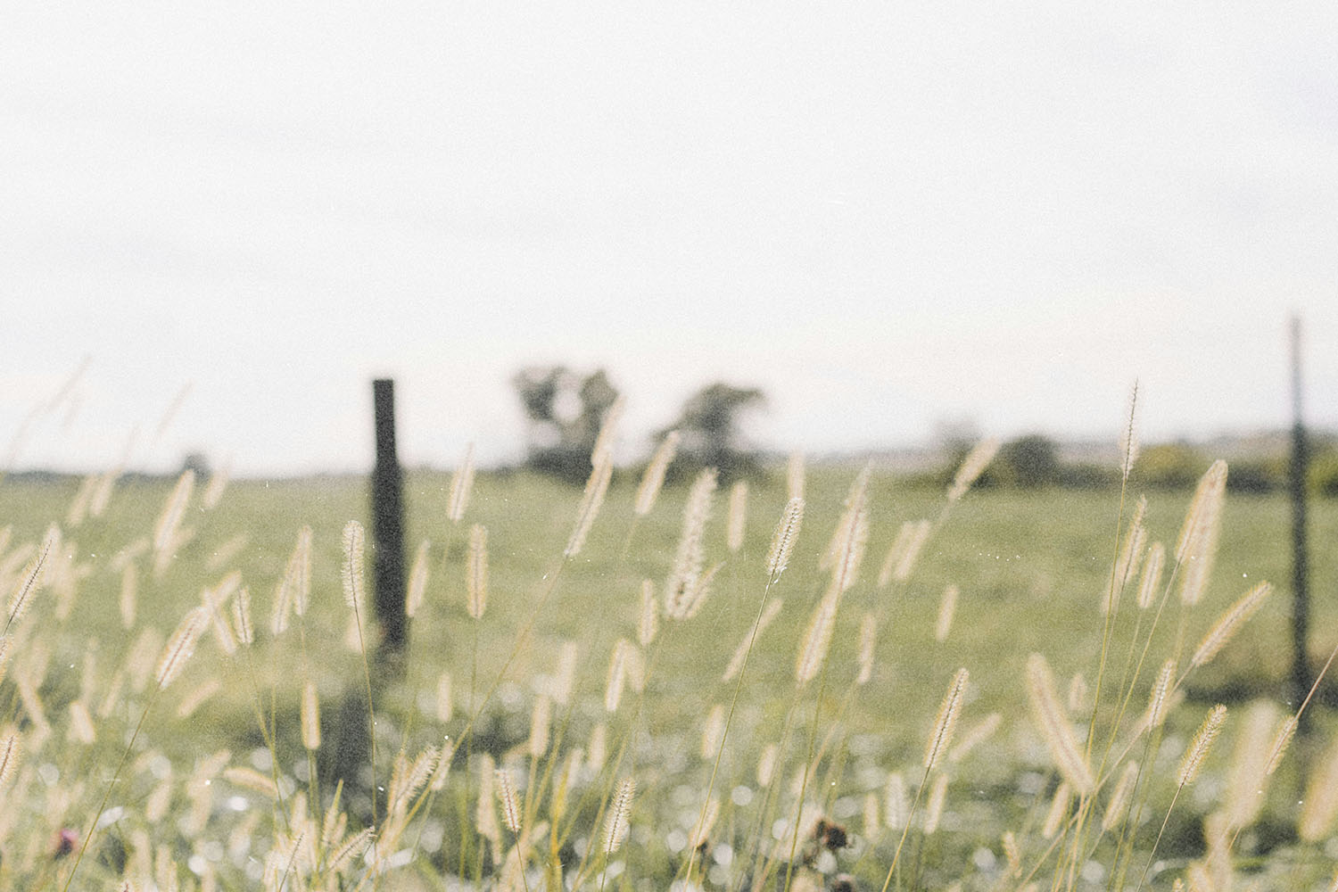 When it comes to sowing and reaping, what’s a seed?