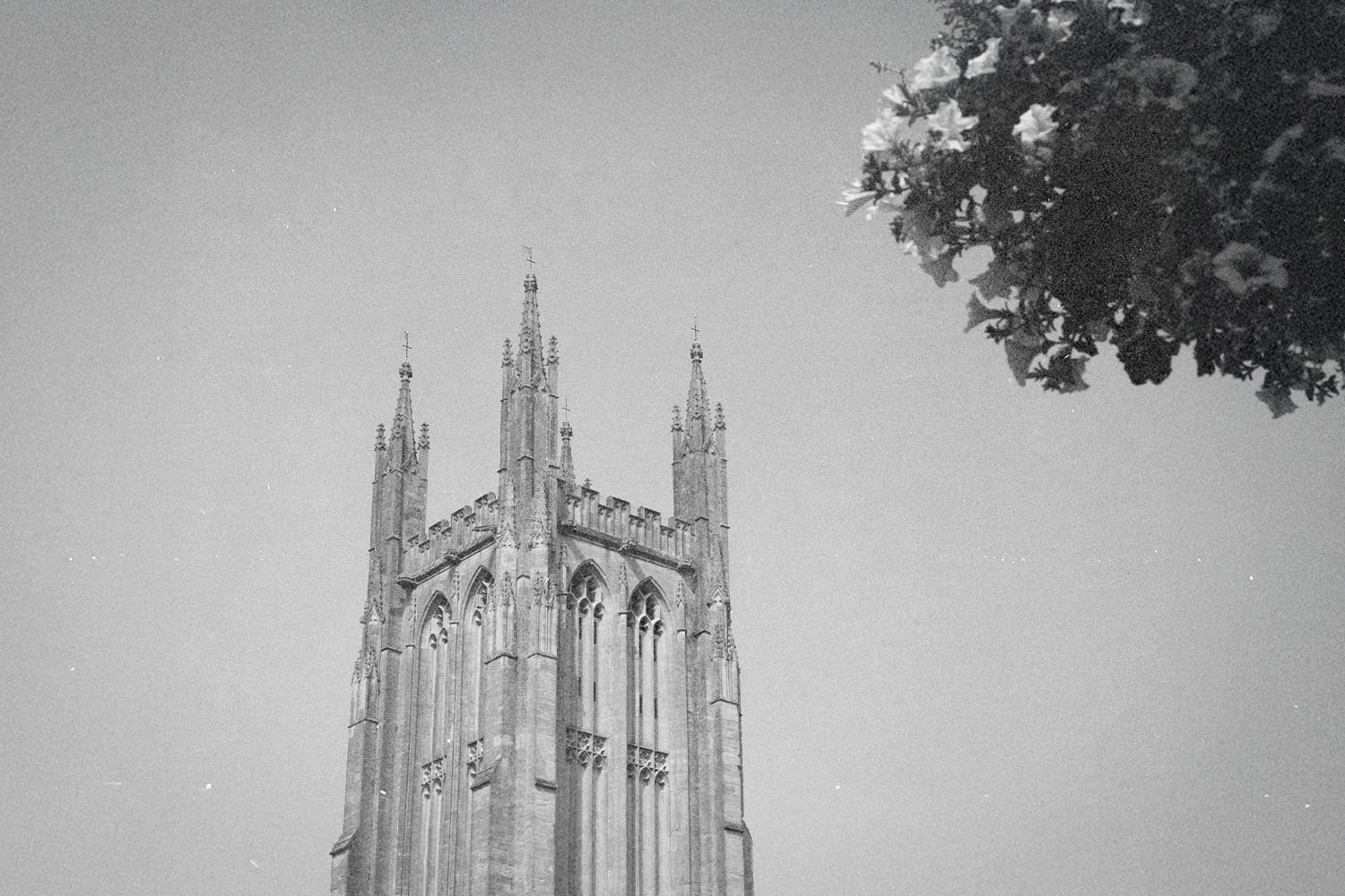 What is the true Church?