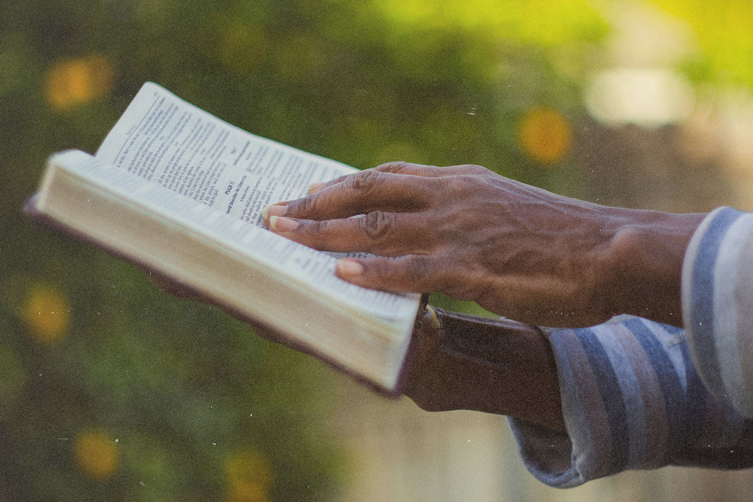 Hand holding an open Bible outdoors, with sunlight illuminating the pages against a soft, green background
