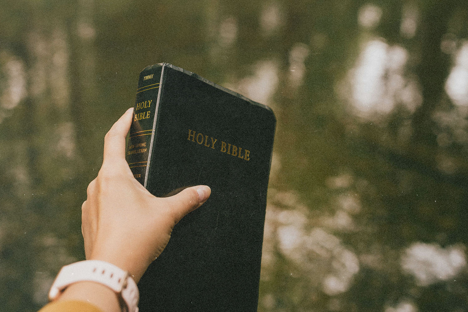 Hand holding a black Holy Bible outdoors with soft, blurred greenery in the background