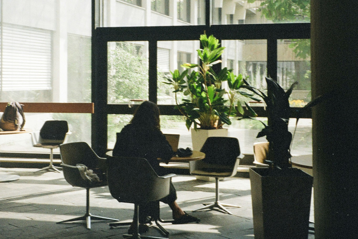 Person sitting at a table in a bright indoor lounge area, working on a laptop near large windows and potted plants