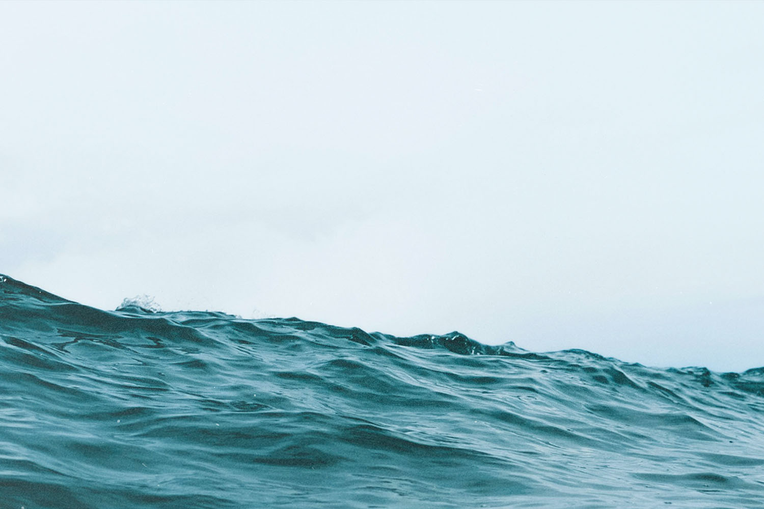 A gentle ocean wave rises against a pale sky, with soft light reflecting off the textured surface of the water