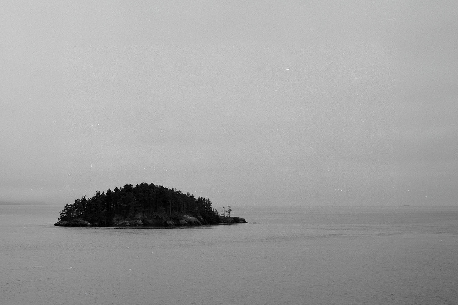 Small tree‑covered island surrounded by calm water in a quiet, overcast black‑and‑white scene