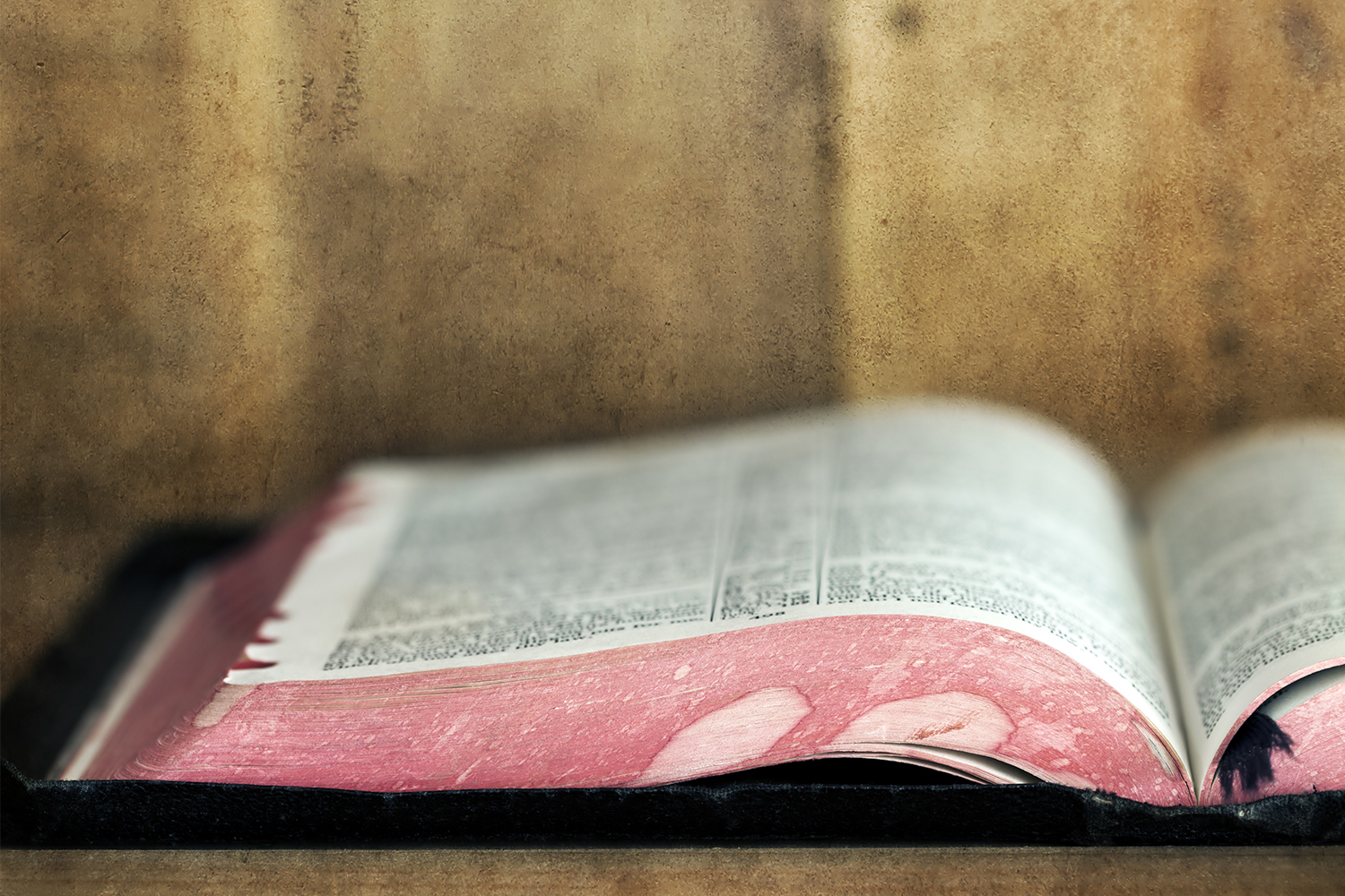 Daily Devotional