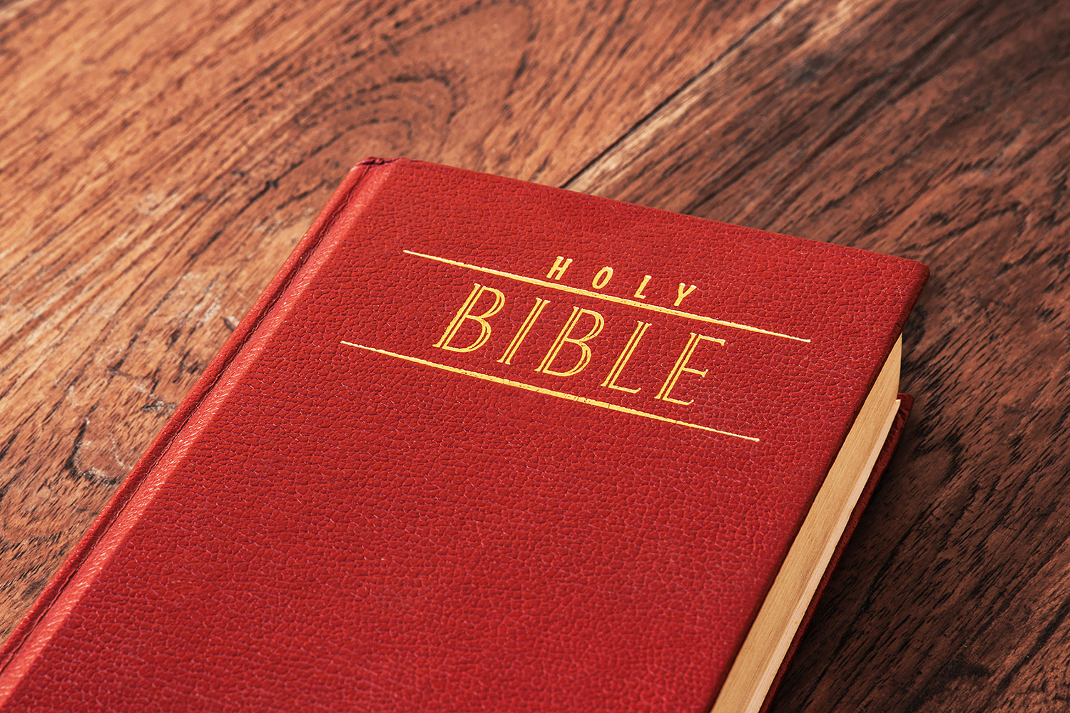 Daily Devotional