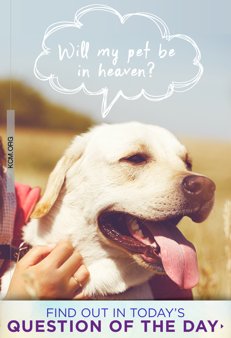 Will my pet be in heaven? Copeland Ministries