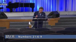 Faith Says It Before It Sees It